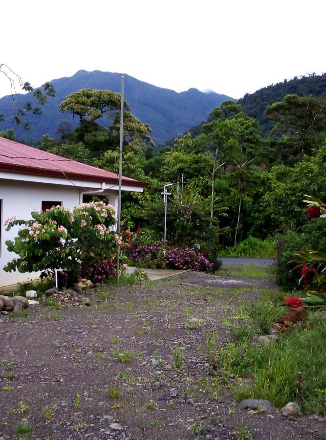 Cabinas El Pilon Rio Celeste Exterior foto