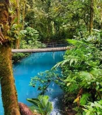 Cabinas El Pilon Rio Celeste Exterior foto