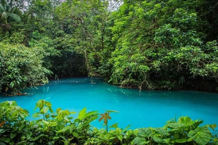 Cabinas El Pilon Rio Celeste Exterior foto